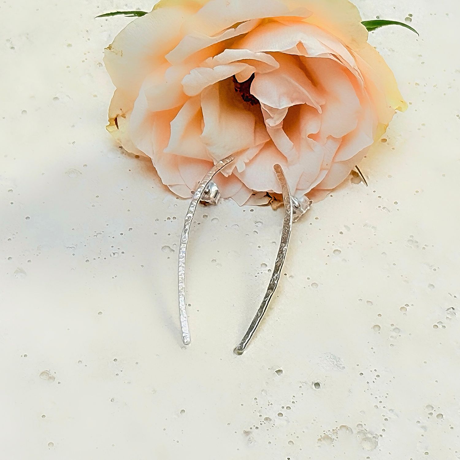 Silver ear studs