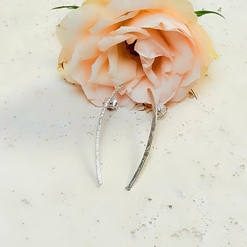 Silver ear studs