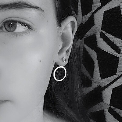 Silver earrings - Carnelian