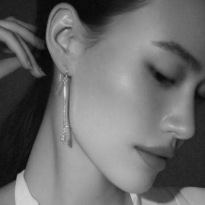 Long, sleek silver drop earrings