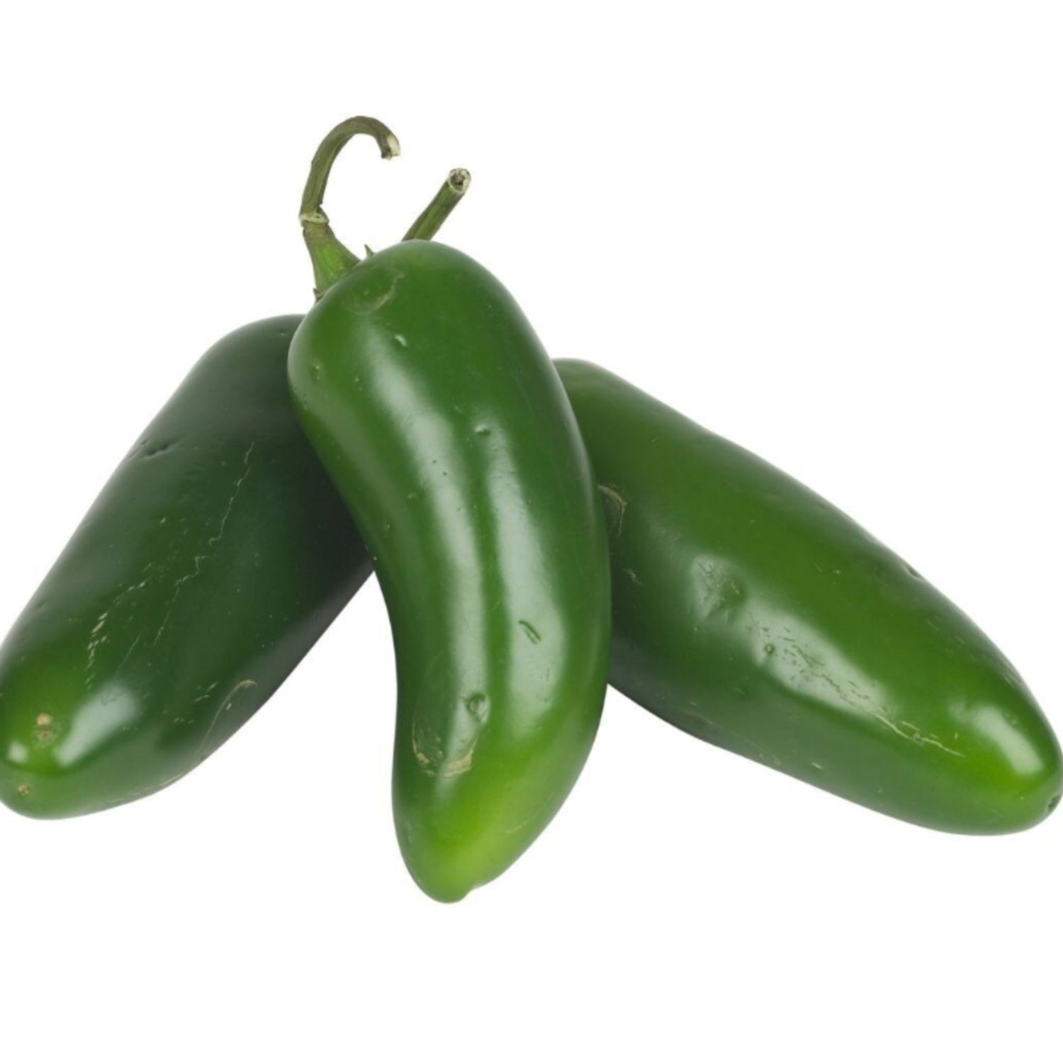 Jalapeño Chilli  200gr