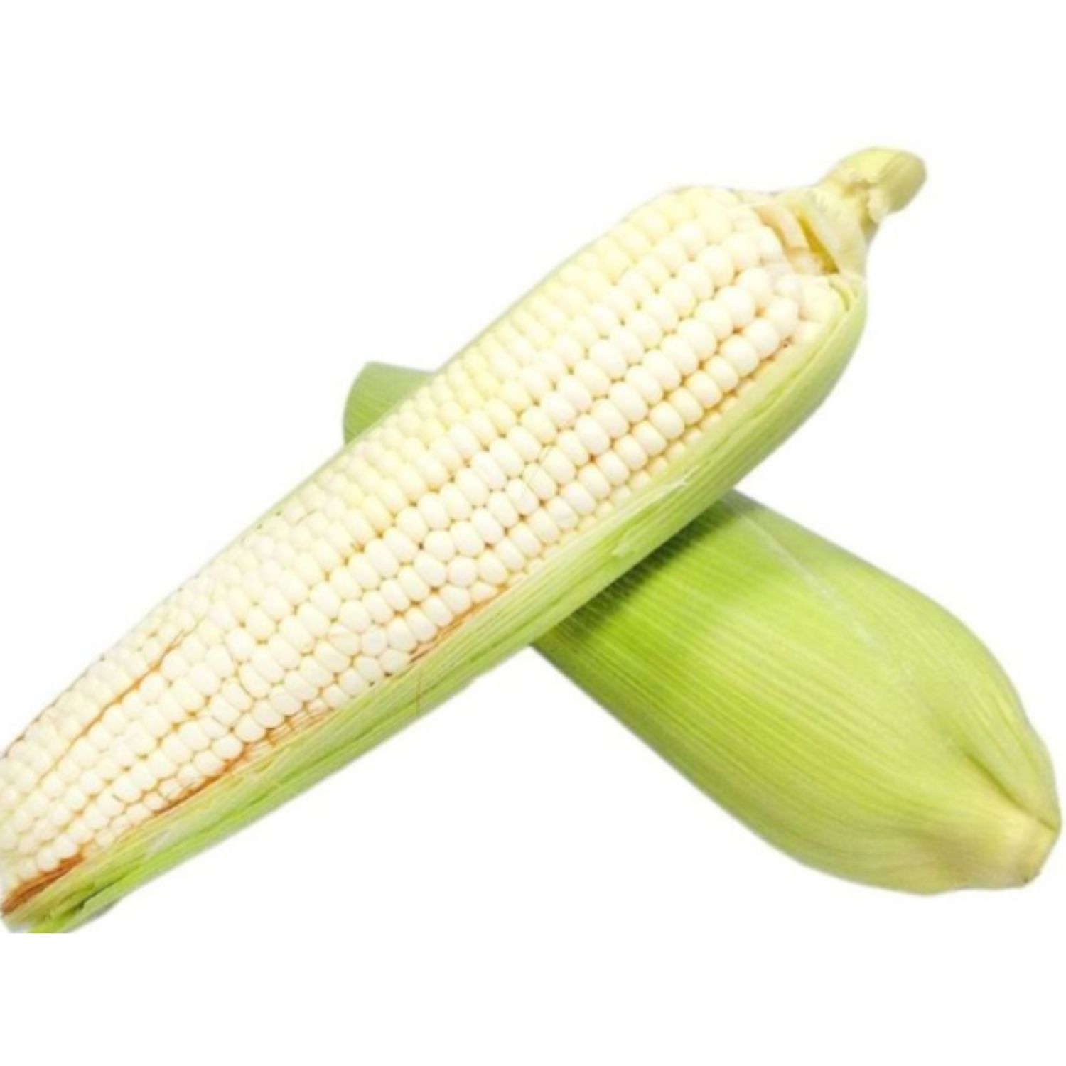 Elote Blanco | White Corn Cob 300-400gr