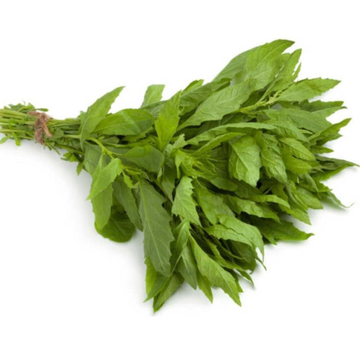 Fresh Epazote 100gr