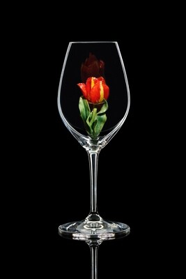 Бокал для шампанского Тюльпан красный, стекло Ридель.