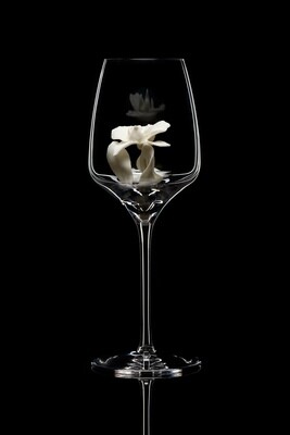 Бокал для белого вина. Орхидея белая.