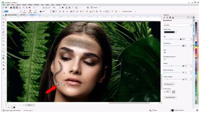 CorelDRAW Graphic Suite 2025 - ( Windows )