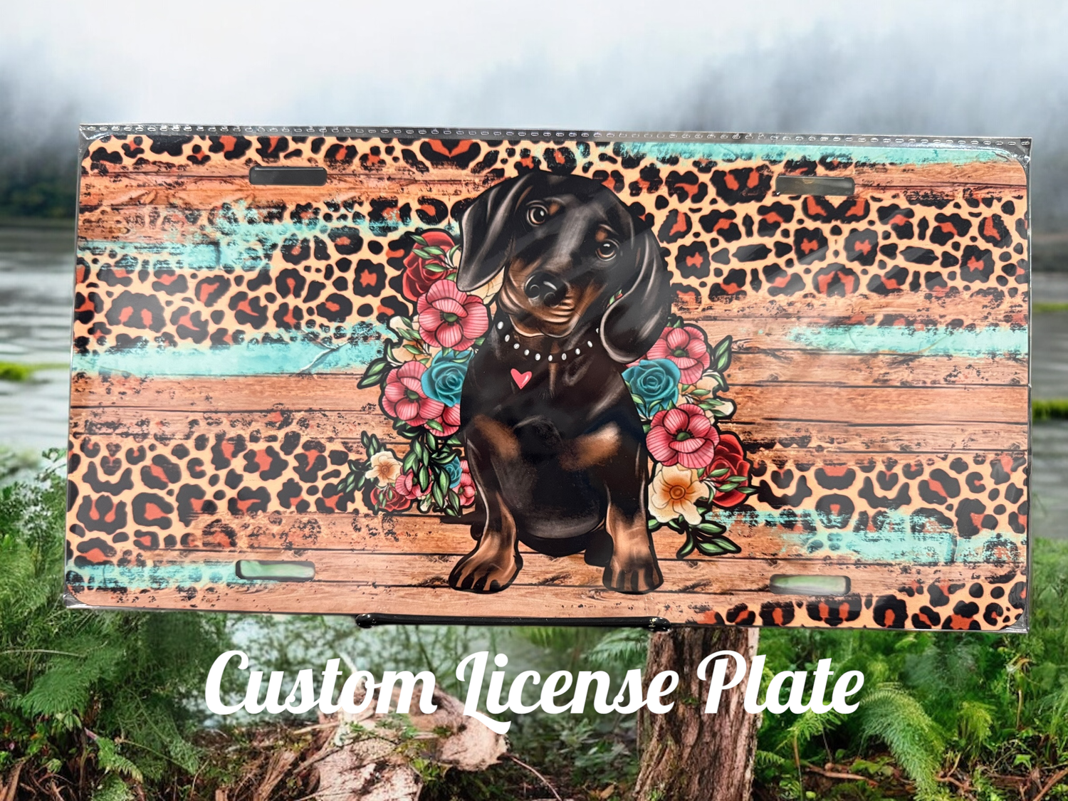 Black &amp; Tan Dachshund