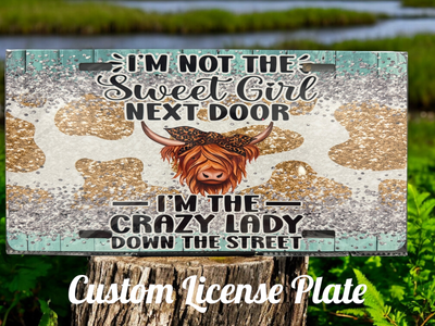 Crazy Lady Down The Street