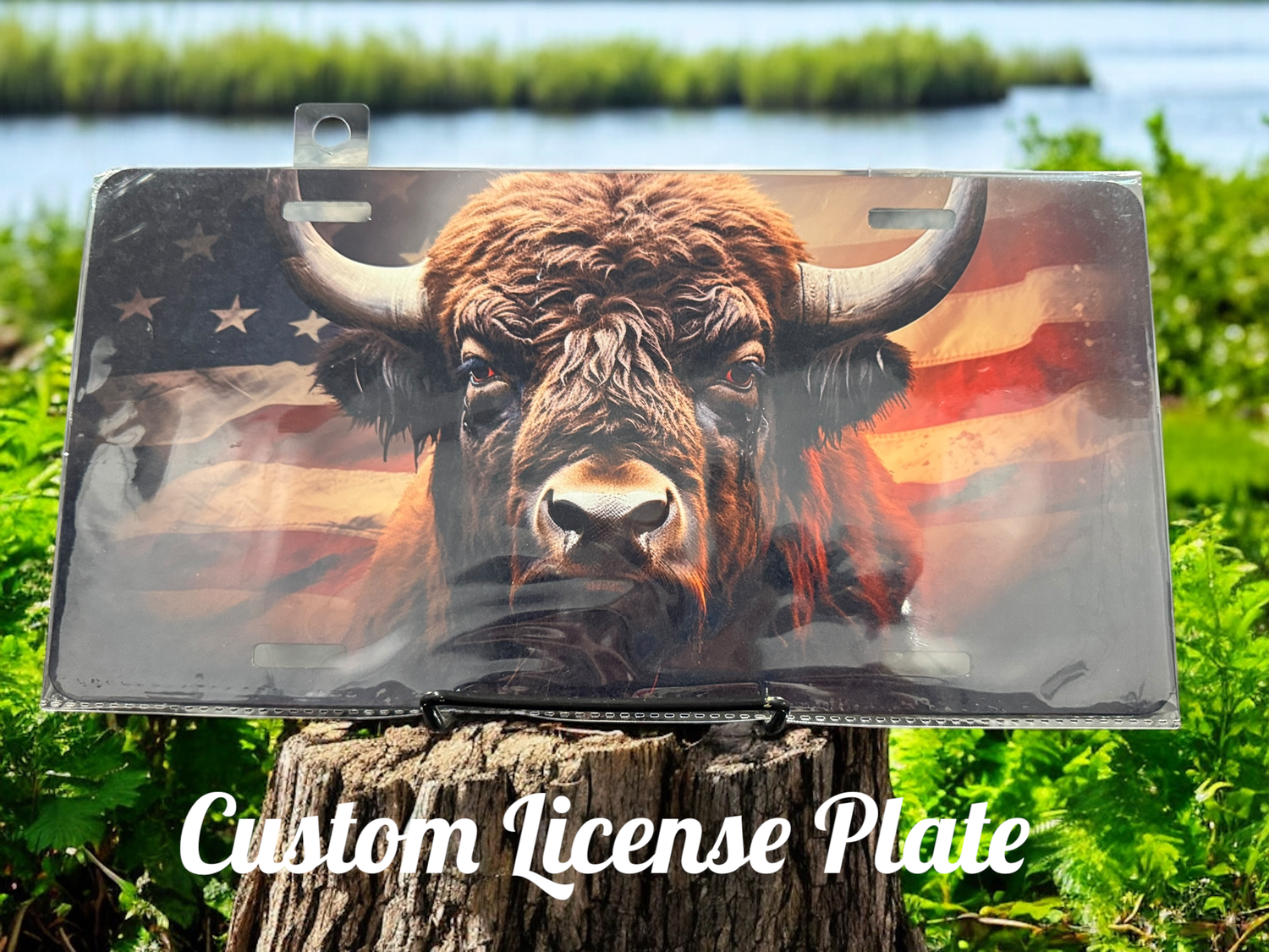 Bison