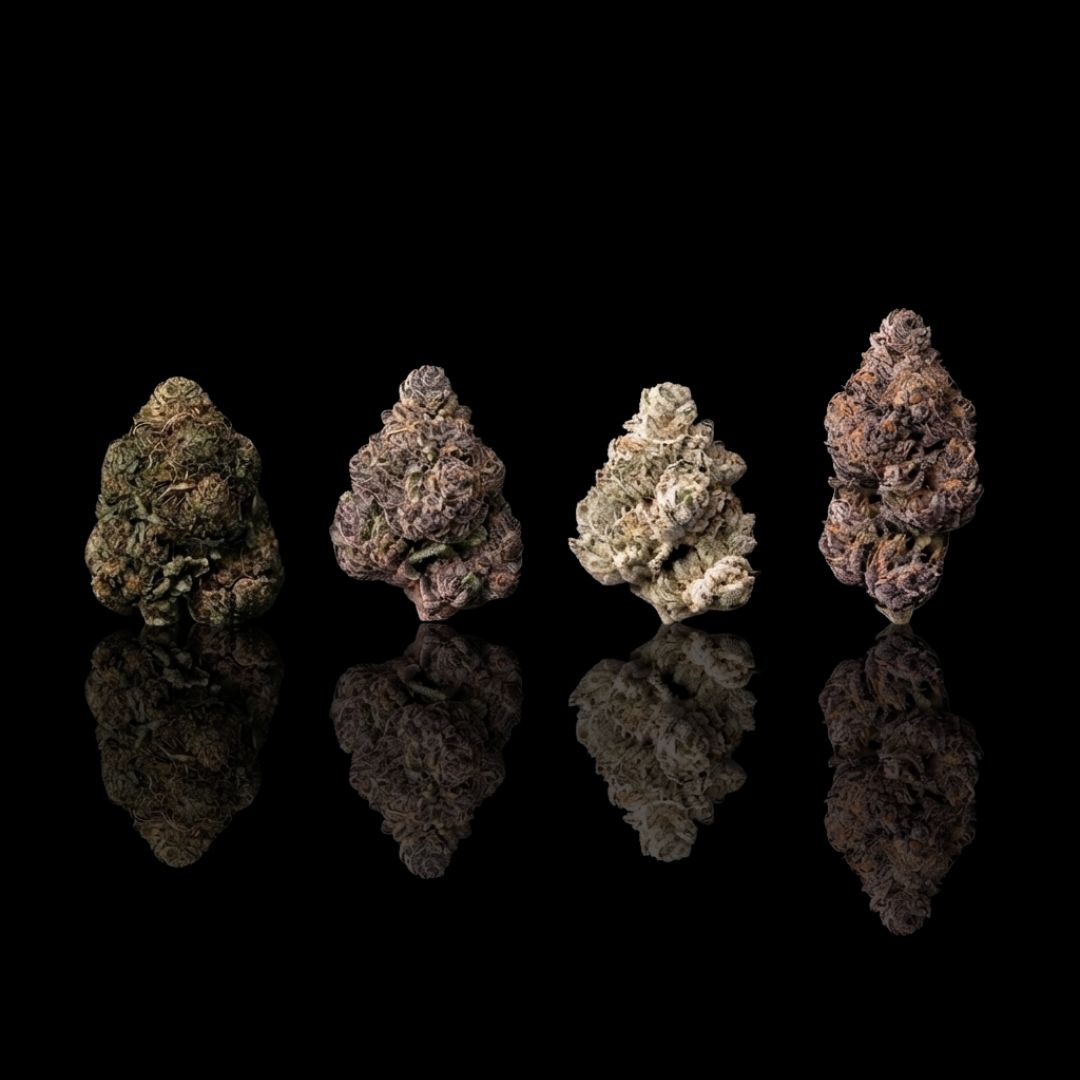Dealer's Choice Gram Flight