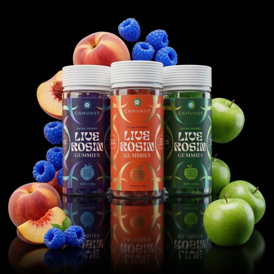 Shifters 12ct High Live Rosin Extra Potent Delta 9 THC Gummies Shifters 12ct High Live Rosin Extra Potent Delta 9 THC Gummies