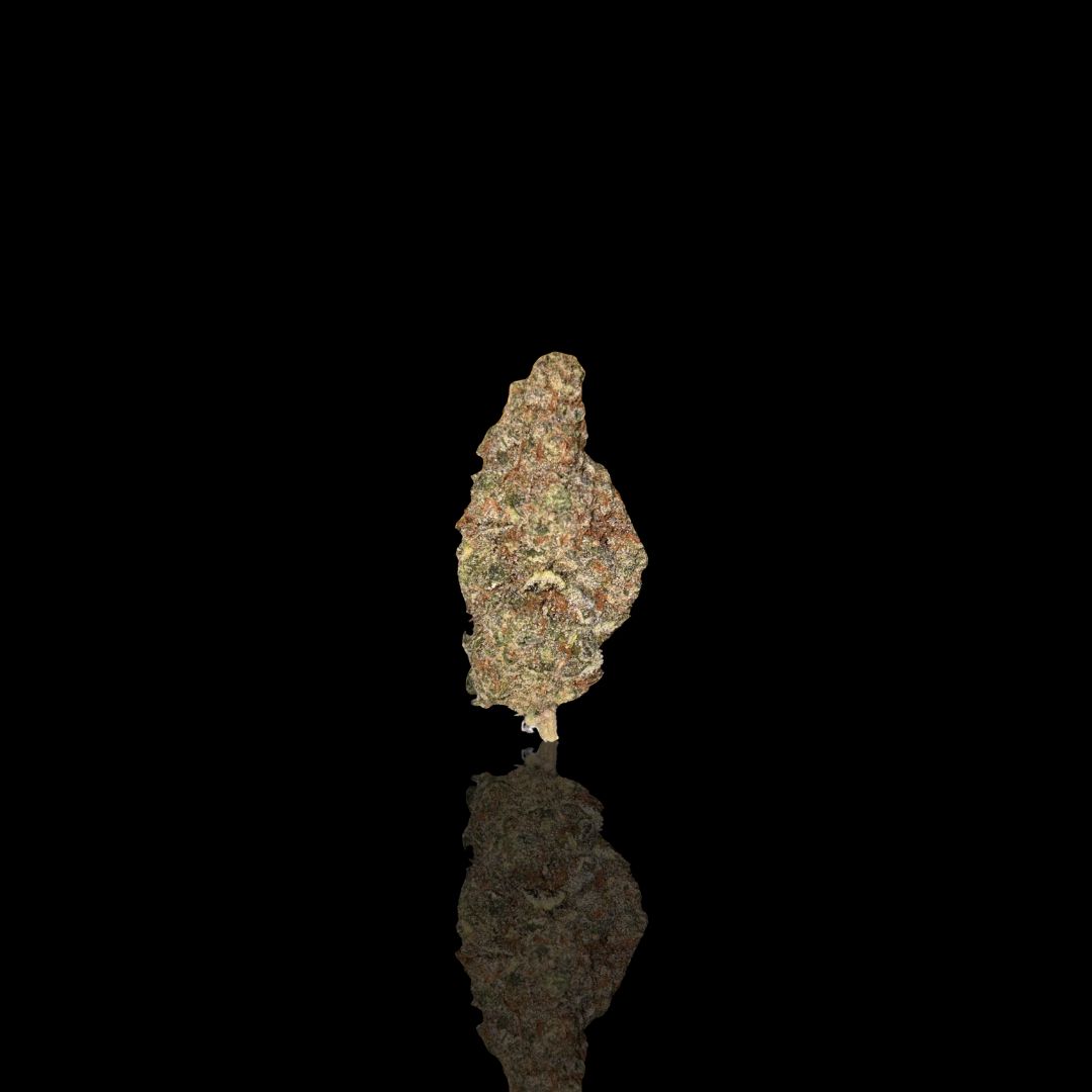 Key Lime Jack - Premium THCa Flower Key Lime Jack - Premium THCa Flower