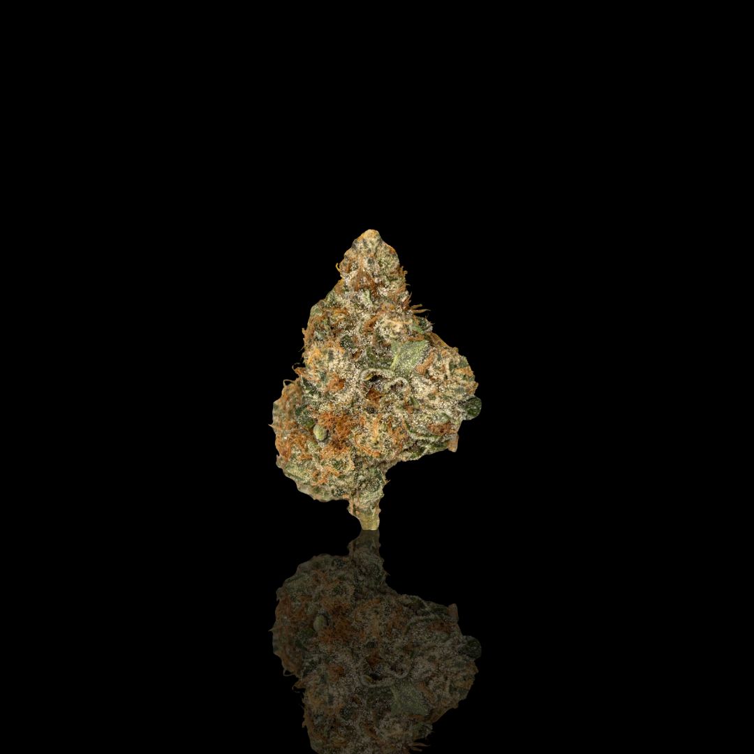 Lemon Tree - Top Shelf THCa Flower Lemon Tree - Top Shelf THCa Flower