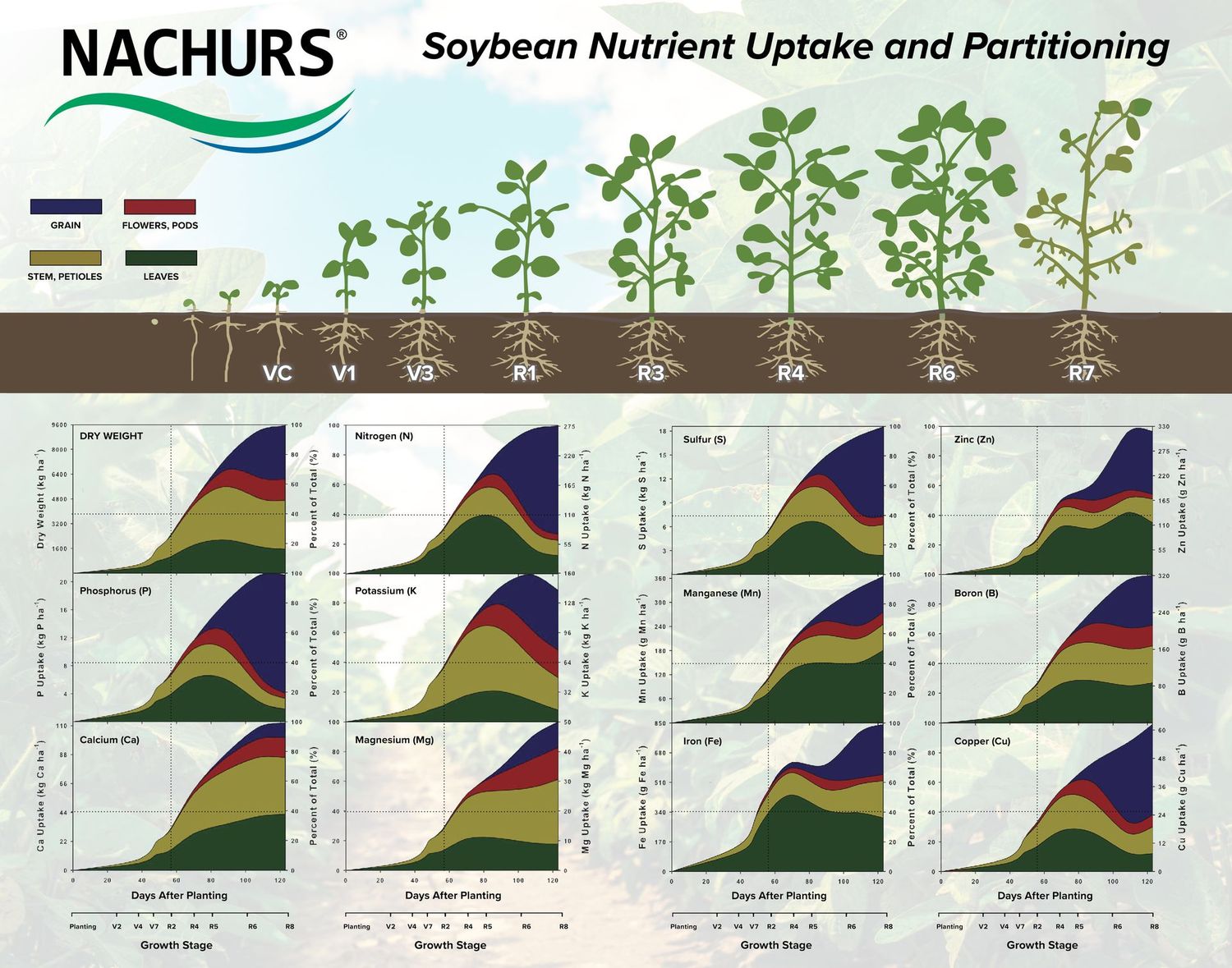 Uptake Chart - Soybean