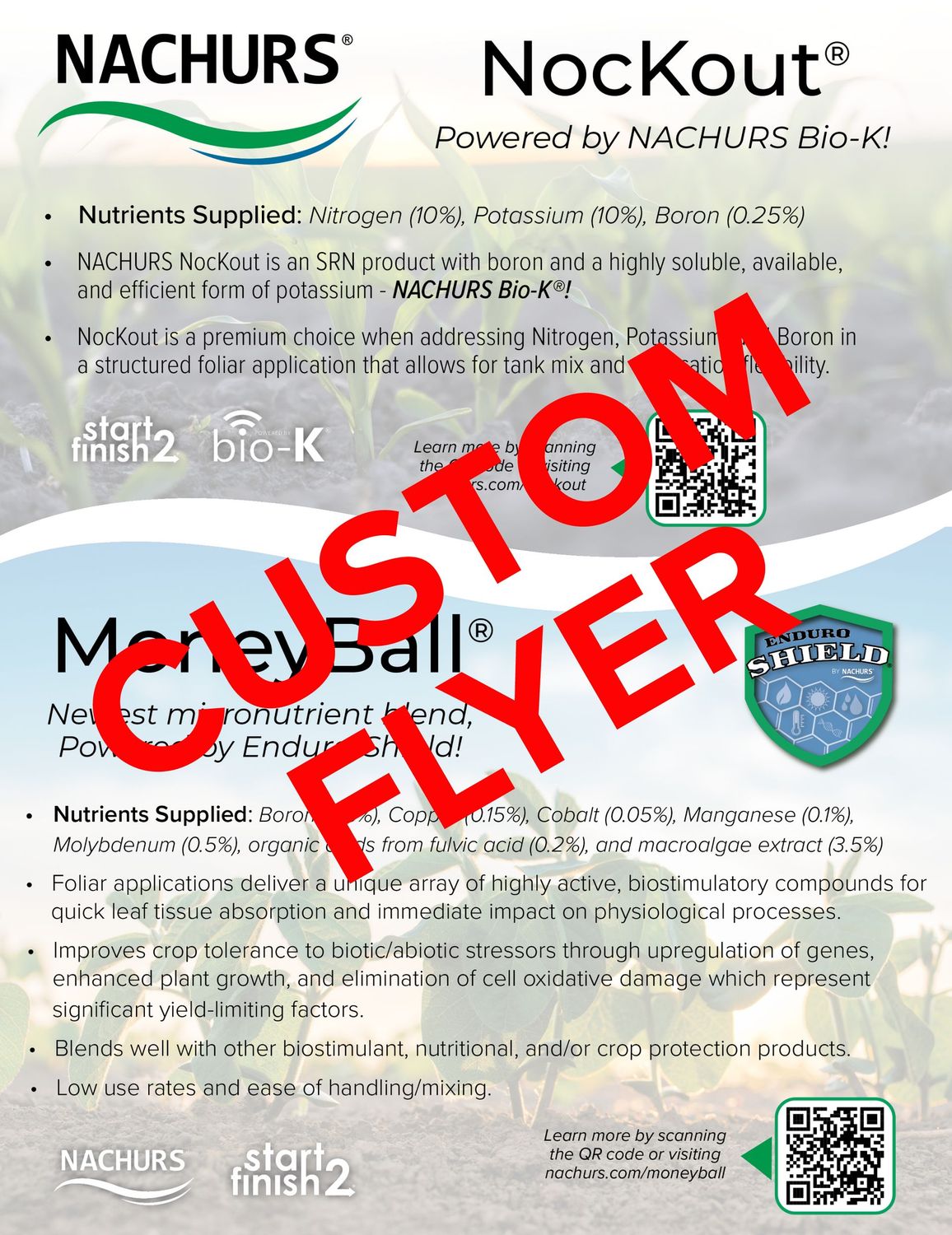 Custom Product Flyer/Project
