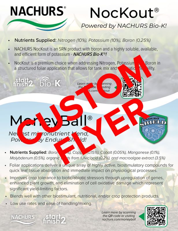 Custom Product Flyer/Project