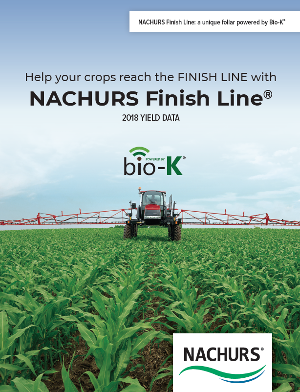 Booklet - Finish Line