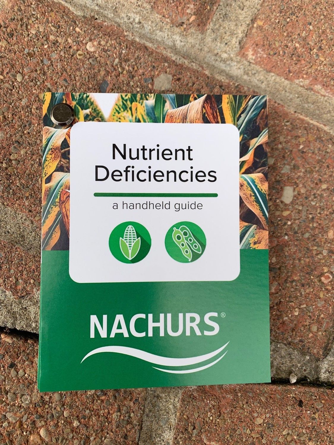 Nutrient Deficiency Deck: Corn & Soybean