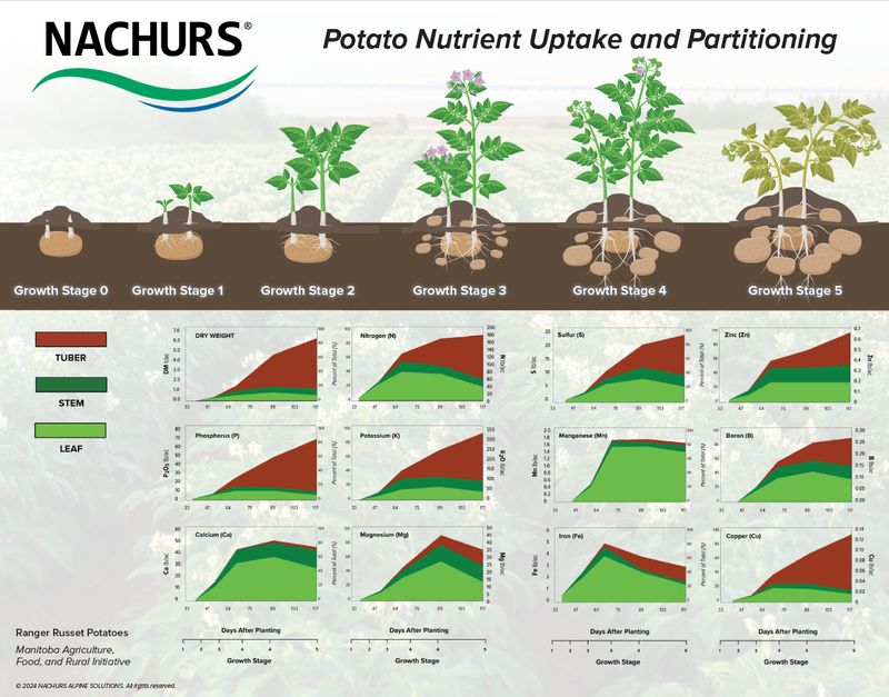 Uptake Chart - Potato