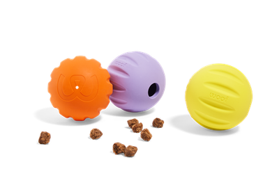 Woof Forager Flyball