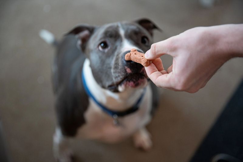Snack