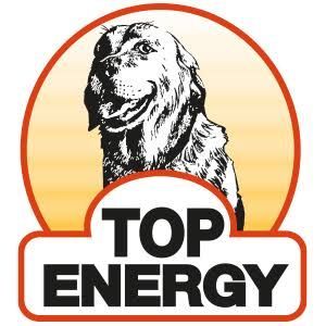 Top Energy