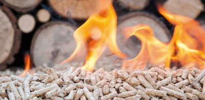 Pellet e legna