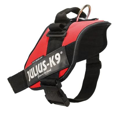 PETTORINA JULIUS-K9 IDCPOWER ROSSO PETTORINA JULIUS-K9 IDCPOWER ROSSO