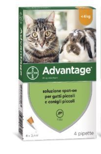 Advantage Soluzione SpoT-on per Gatti e Conigli Piccoli, 4 Pipette Antiparassitarie Advantage Soluzione SpoT-on per Gatti e Conigli Piccoli, 4 Pipette Antiparassitarie