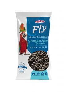 Fly semi girasole striato grande 500gr/2,5kg Fly semi girasole striato grande 500gr/2,5kg