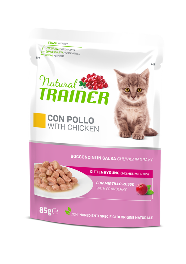 Natural Trainer Kitten & Young Bocconcini in Salsa