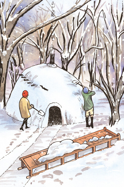 "The Igloo in Snow" Postcard