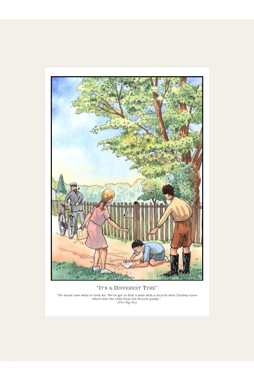 "It's a Different Tyre" Mounted Print