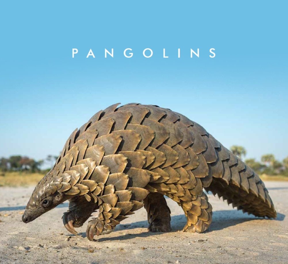 Pangolin Coffee Table Book (Deluxe Version) Pangolin Coffee Table Book (Deluxe Version)
