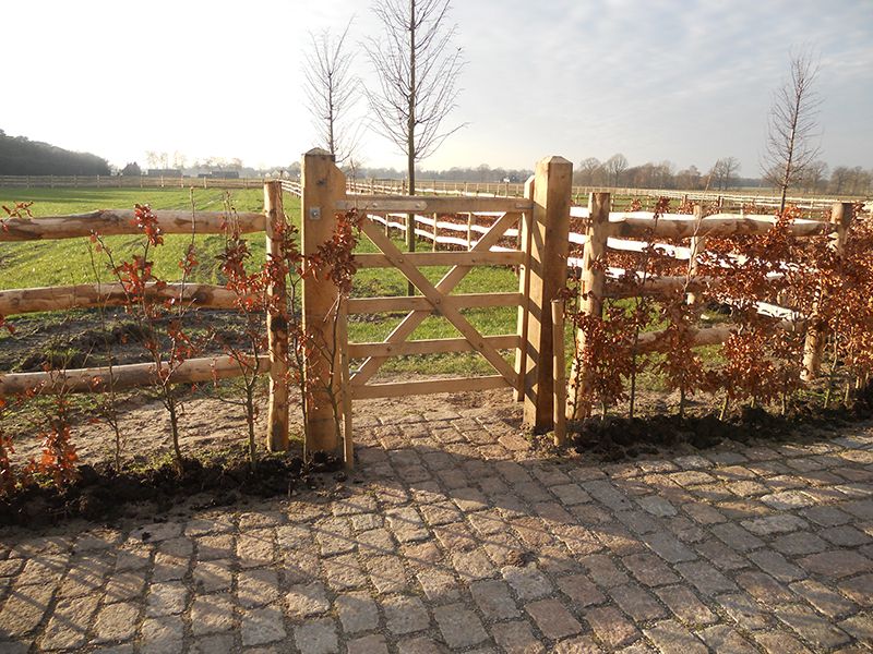 Bouwpakket: Engelse veldpoort in eik