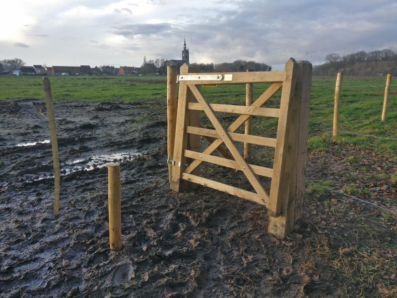 Klappoorten in eik