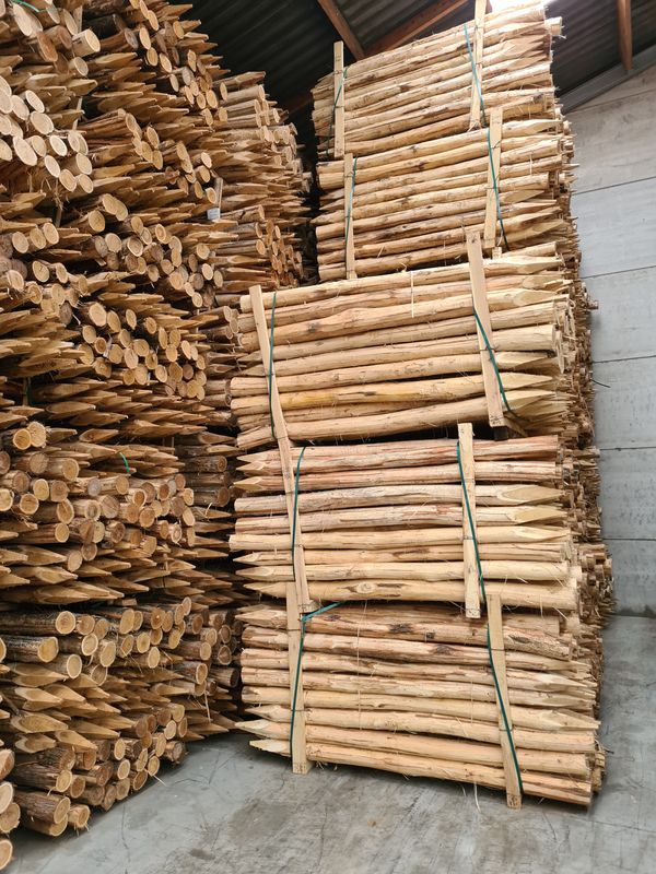 Robinia / Acacia palen