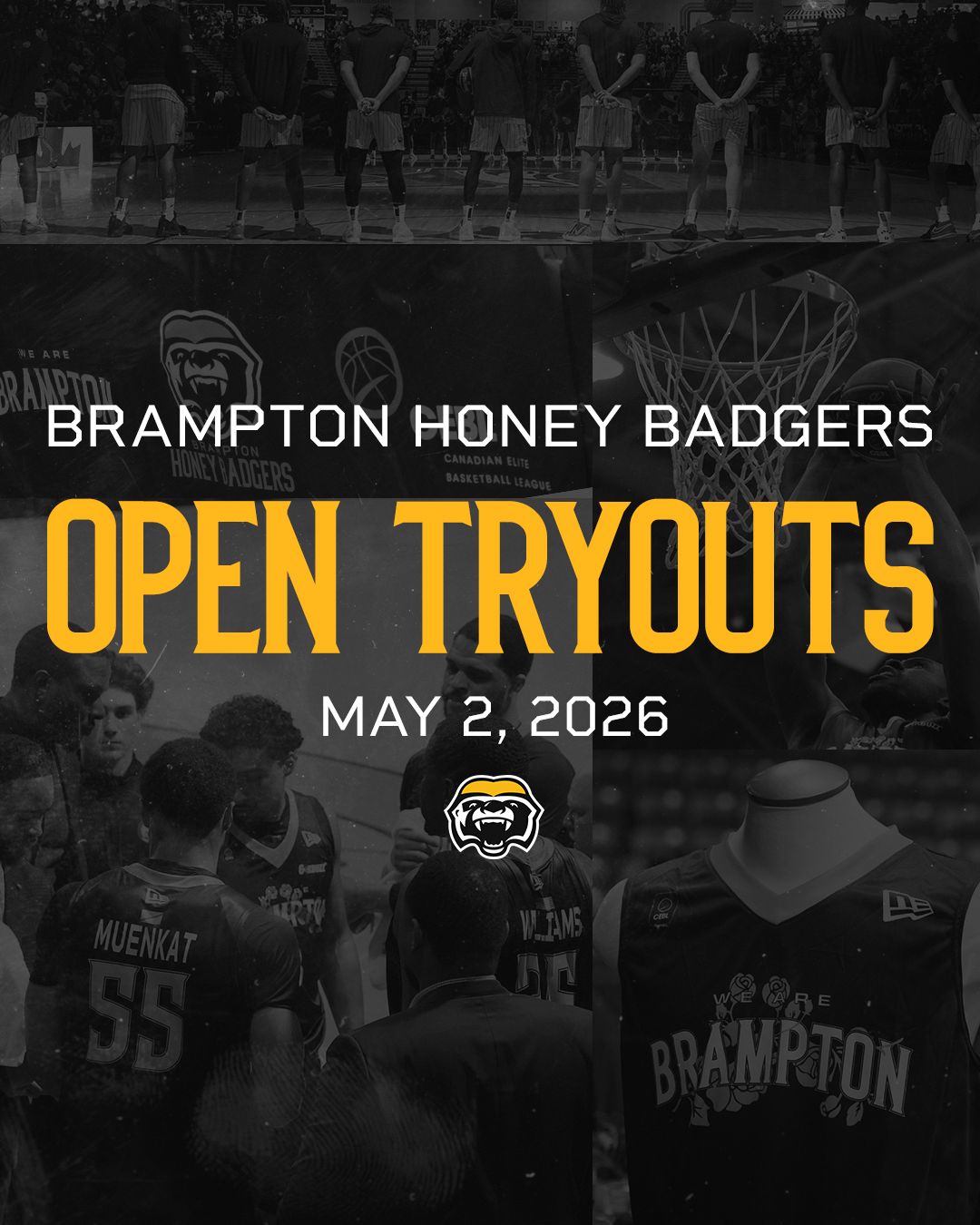 Brampton Honey Badgers Open Tryout