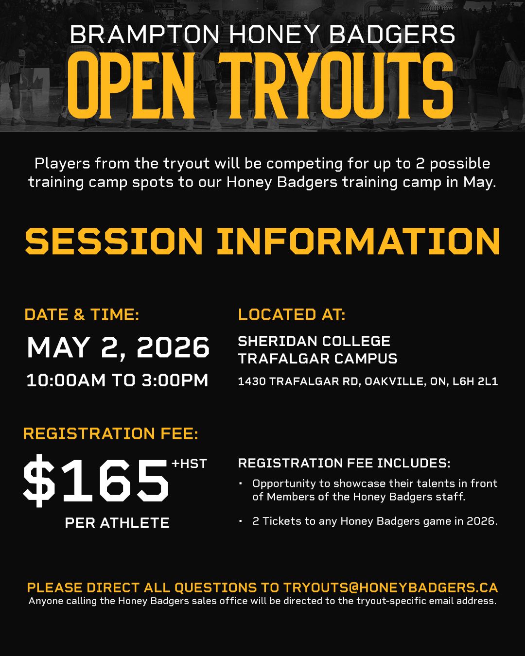 Brampton Honey Badgers Open Tryout