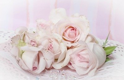 Geschenkideen &amp; Hochzeitsplanung