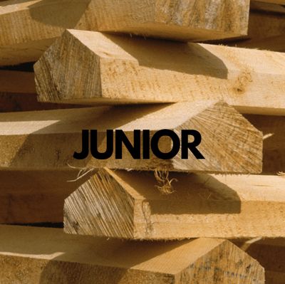 JUNIOR BATS