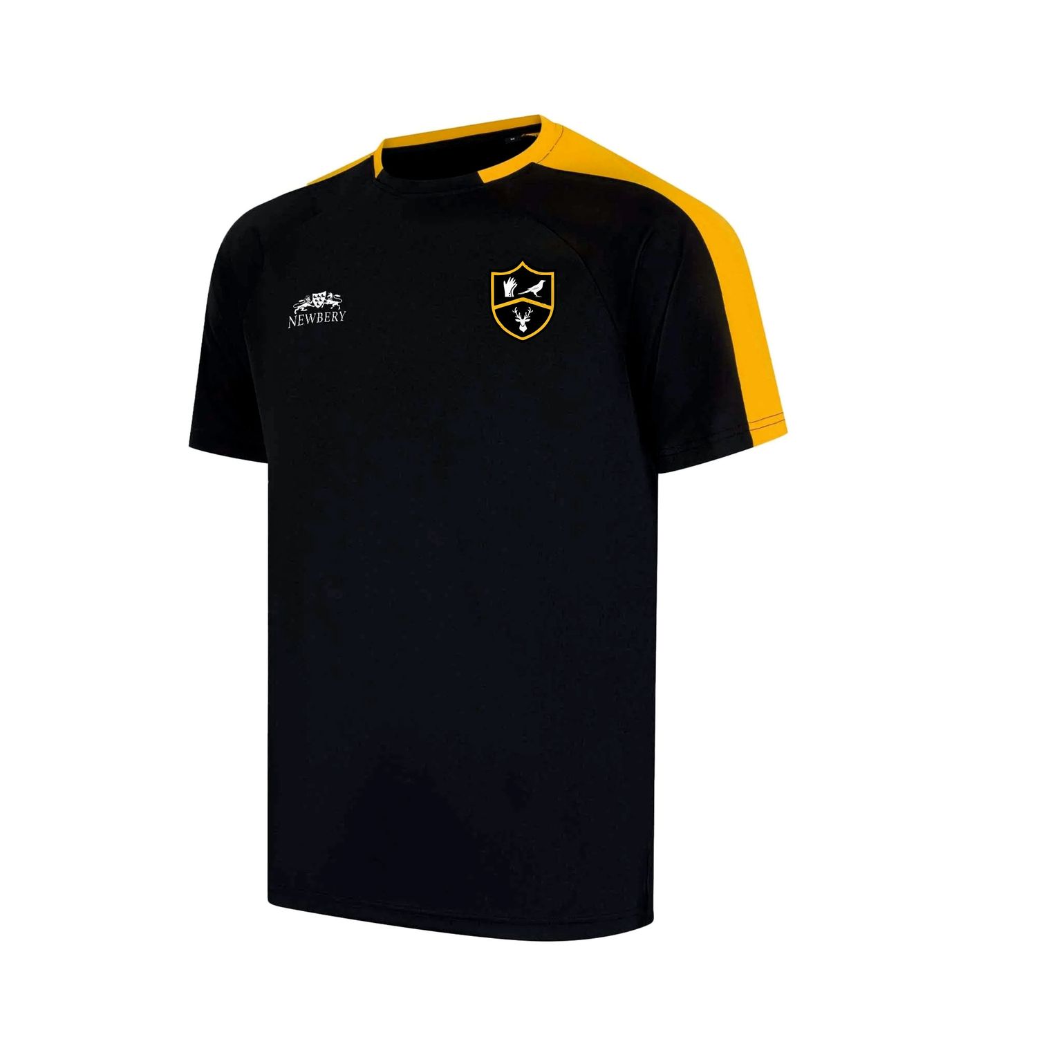 Park View Academy Training Top