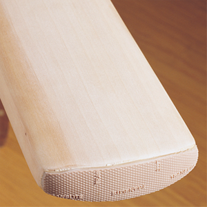 2027 Gray-Nicolls Protectoe 2027 Gray-Nicolls Protectoe
