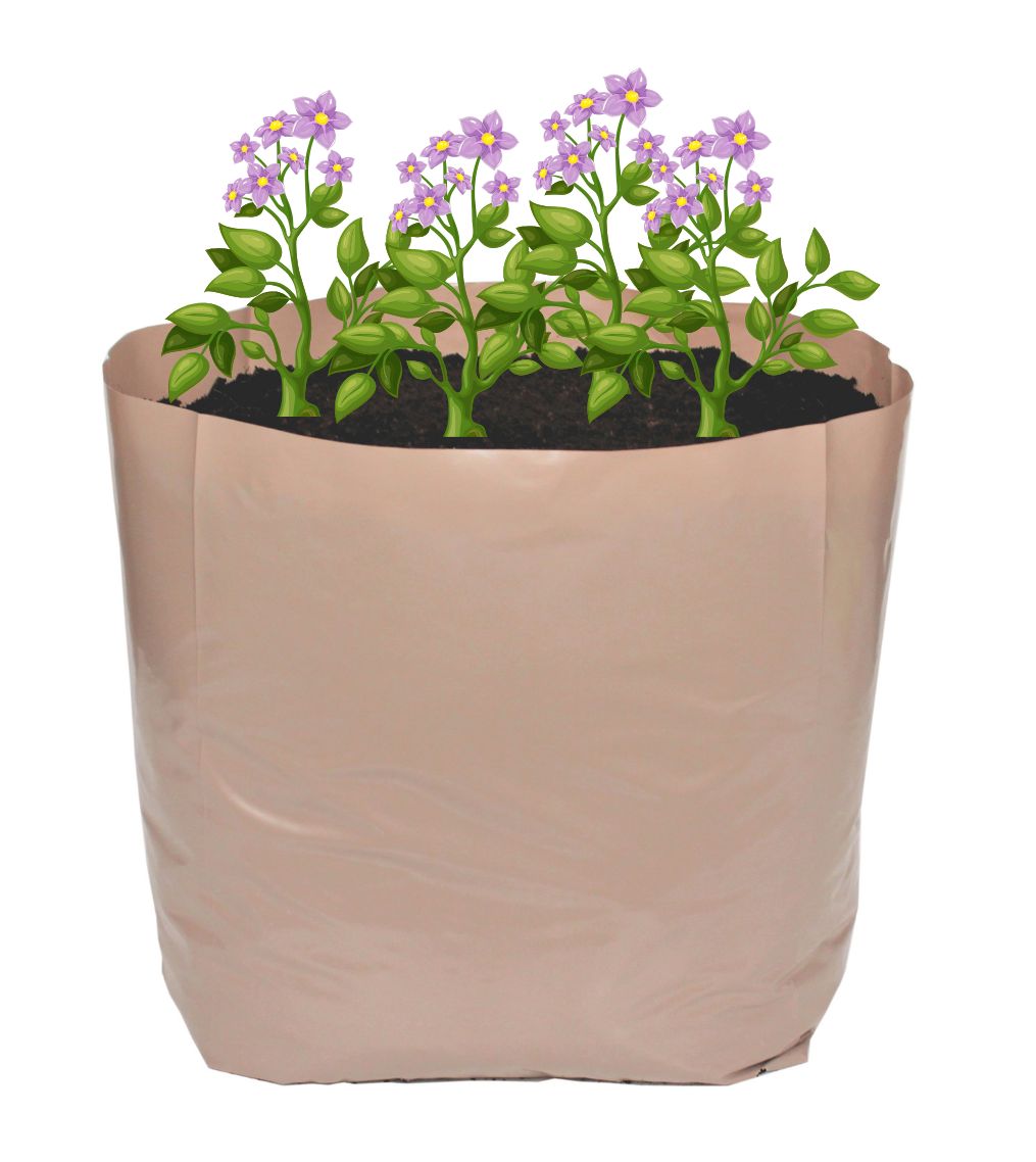 Oxo-Biodegradable Potato & Veg Pack - Pack 10