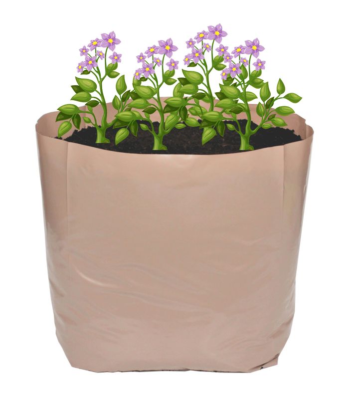 Oxo-Biodegradable Potato & Veg Pack - Pack 10