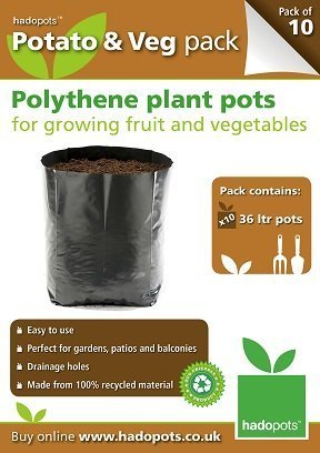 Potato & Veg Pack (pack of 10)