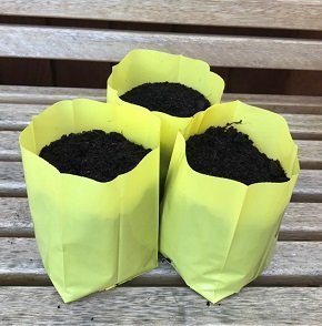 CLEARANCE 1 litre YELLOW Hadopots - PACK 50