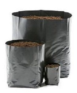 2 litre Hadopots (HP5) - PACK 50 HADOPOTS