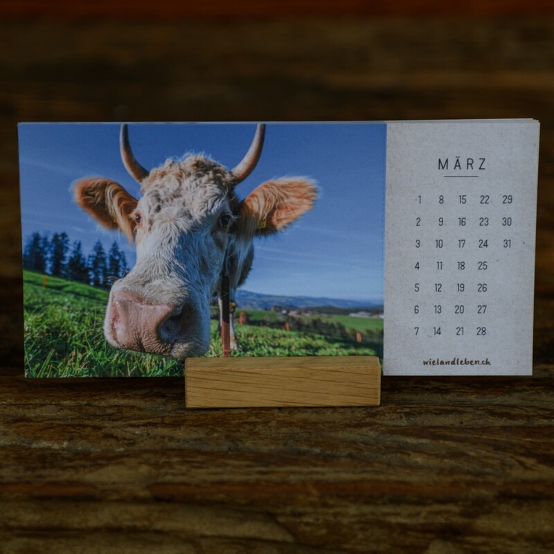 Bio Ganzjahreskalender – Nachhaltig durch das ganze Jahr mit wielandleben