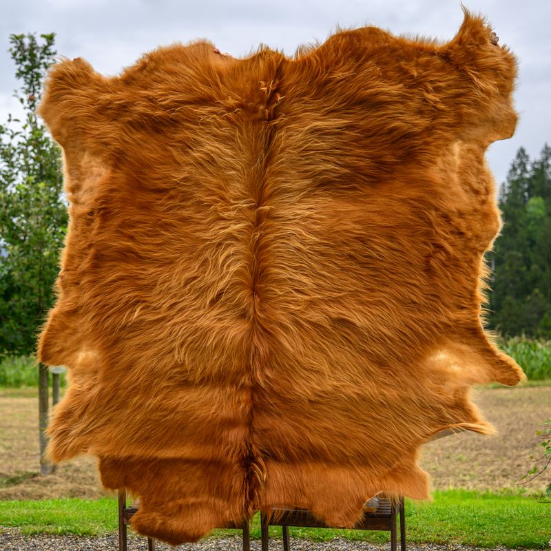 Schottisches Hochlandrindfell „Giovanni“ – Rustikale Eleganz für dein Zuhause